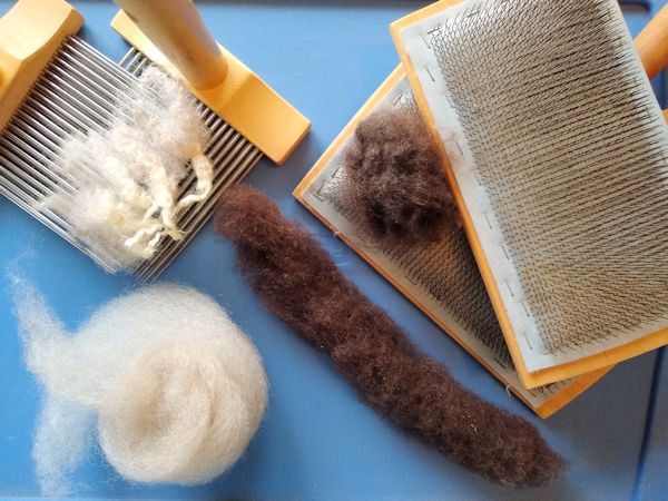 Wool combs with locks and nest of combed fiber, and hand carders with rolag