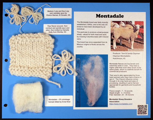 Blue notebook page with yarn samples, swatch and information on Montadale sheep